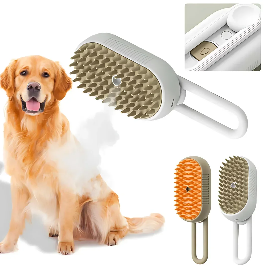 cane golden retriver spazzolato con Steamy brush